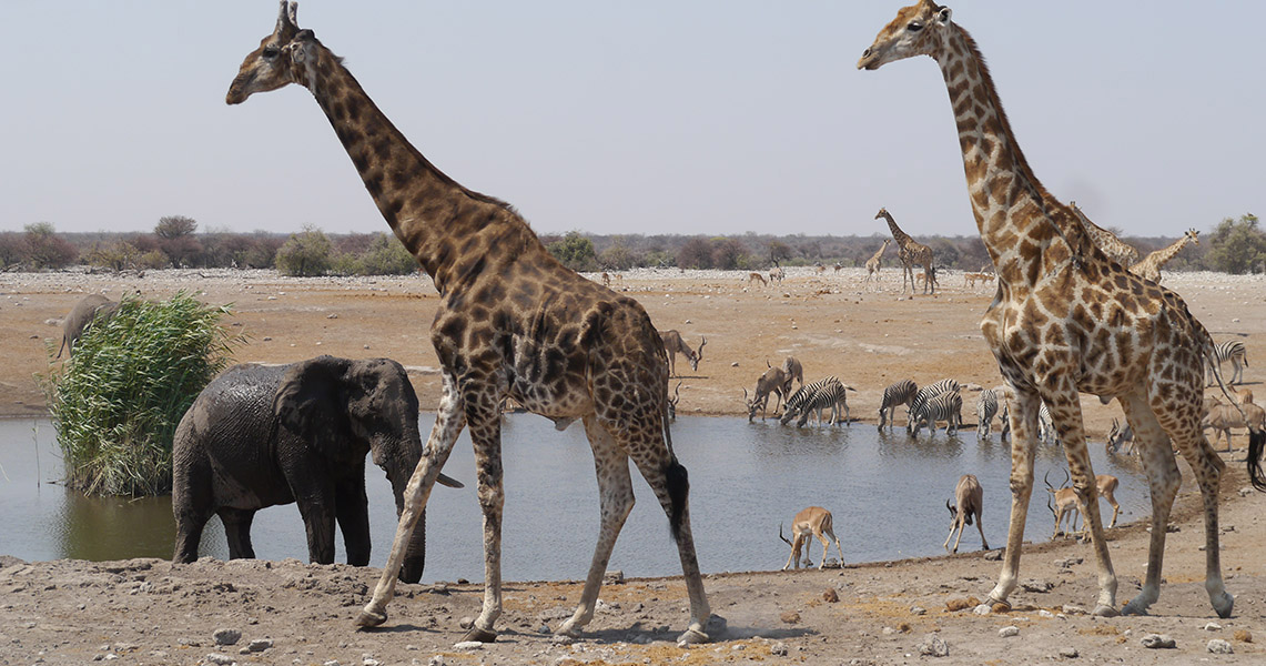 Ullrich Angersbach – Afrika